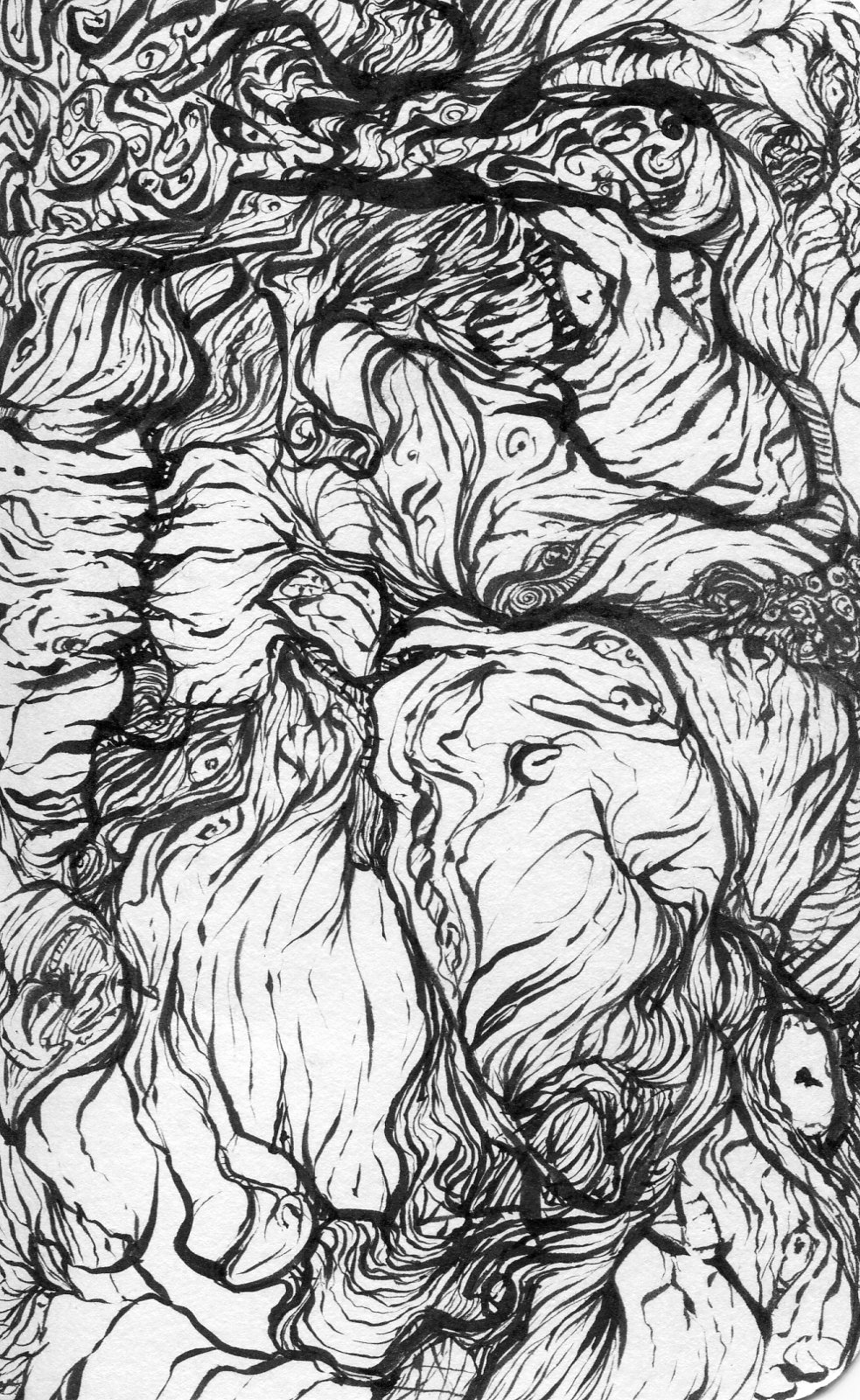 sketch028