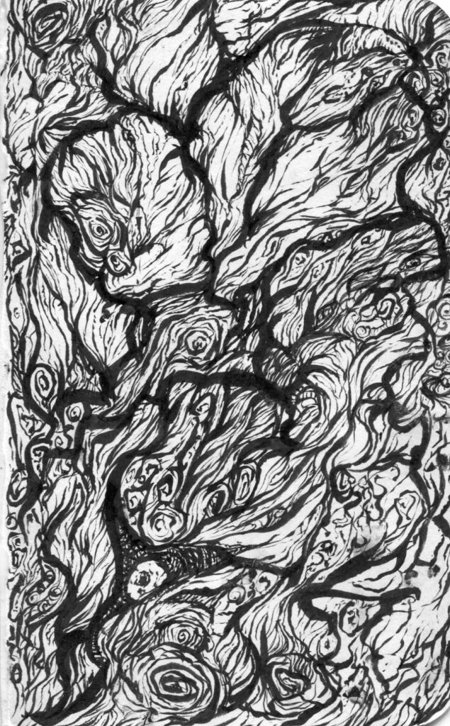 crevice