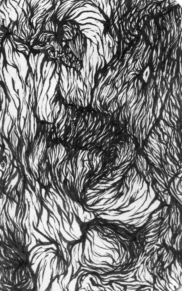 woven
